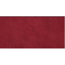 Плитка 40*80 BOOST RED
